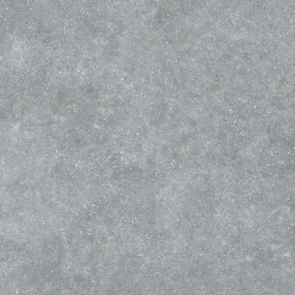 ARDENAS GRIS 120X120 A