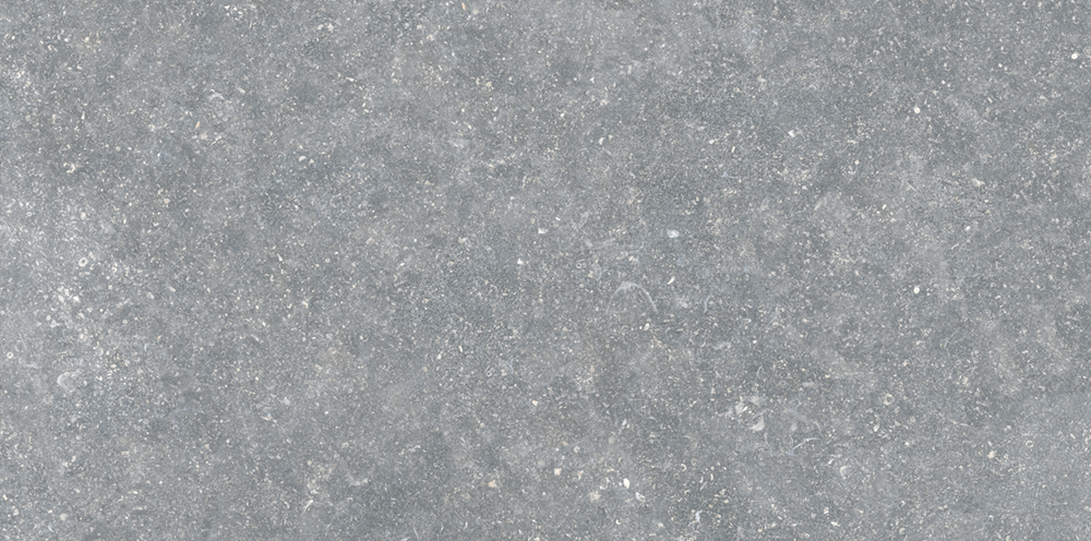 ARDENAS GRIS 33X665 A