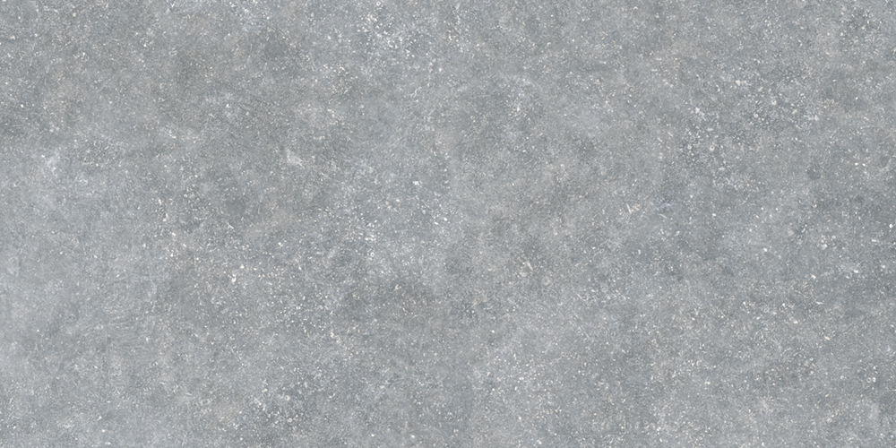 ARDENAS GRIS 60X120 A